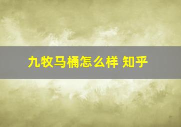 九牧马桶怎么样 知乎